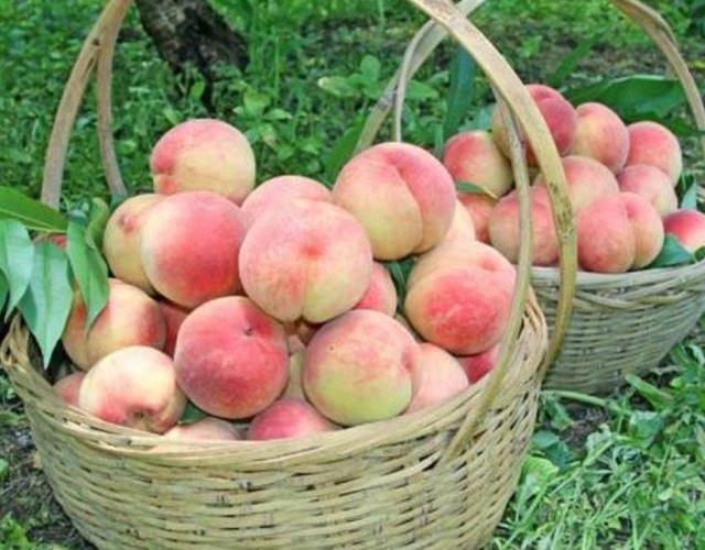 �괨��Щ�޵���صĹ����������