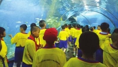���ܿƼ� �˽���ʷ ���顰���� ���������ض�ͯ��������