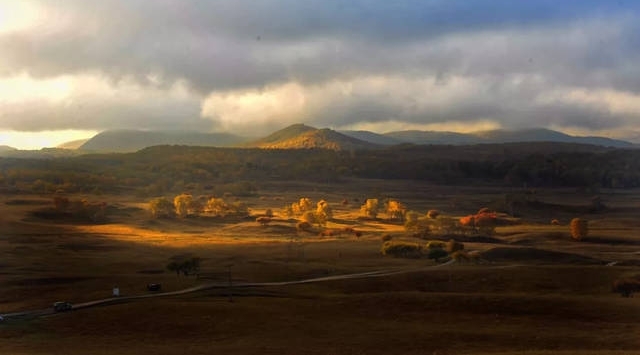 ����չ�й�ר�á��캲����������Ӱ��Ʒչ������չ����