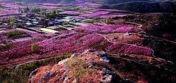 �й������ĵ���ɹ���һ���أ���ǧ����ֻ����һ�������޷ֺ�