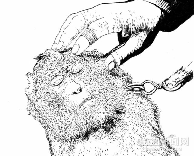 磨刀匠、剃头匠、崩爆米花师傅……那些消失在(哈尔滨)街角的身影丨有人为他们画像了