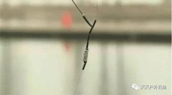 过瘾,夏季鲫鱼应该这样钓,渔获猛增,后悔知道的太晚