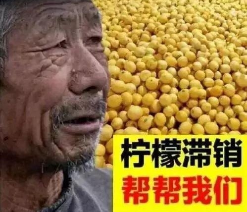 媒体:“紫砂壶美女”是套路 小心掉美色营销的坑