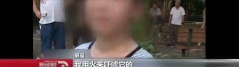 д��ҵʱ�������� ������ͯ����Ź��չ����