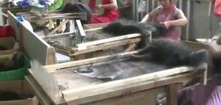 ��������ͷ����ԭ���������������ģ��ǲ��Ƕ����������ٷ��ף�