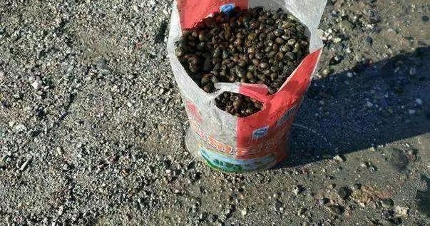 ���������ϴ��ѣ�����ʮ����������˭˵����û�����ˣ�