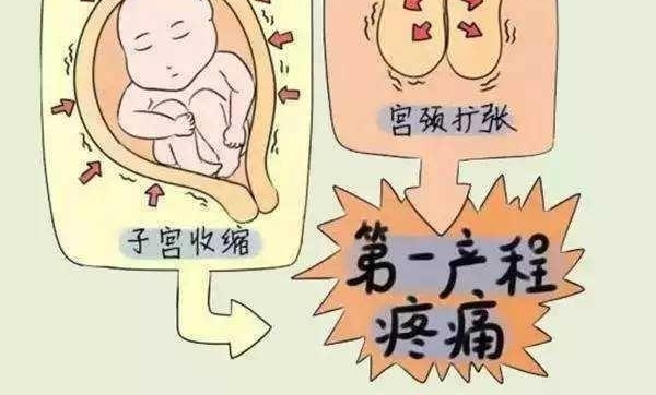 ���˼ҳ�˵�����ӿ��Ƿ�����ô���£��ѵ�������ʱ��ͷ���ѿ���