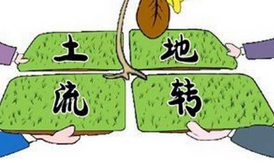 土地流转遇阻碍!村干部挨家挨户劝说,老农道出这几点原因