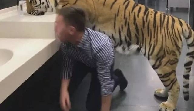 ���ӷ���ϴ�ֳ���ֻ�ϻ�����Ϊ�Ǽٵģ���������ģ��ϻ�ת����ͷ��