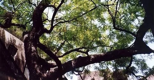 �������޺�����ĺ��ӣ����������ԡ���Ʒ�����Ǹ��������������