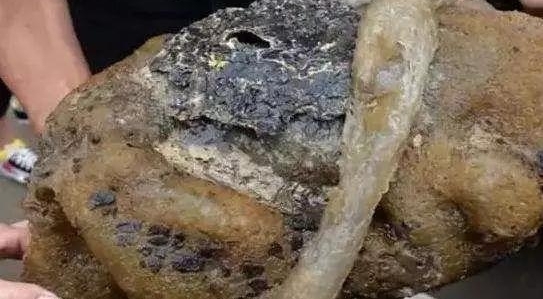 �������һ�ѻ��䶯�ġ����⡱, ��Ȼ���˳��߼��գ�