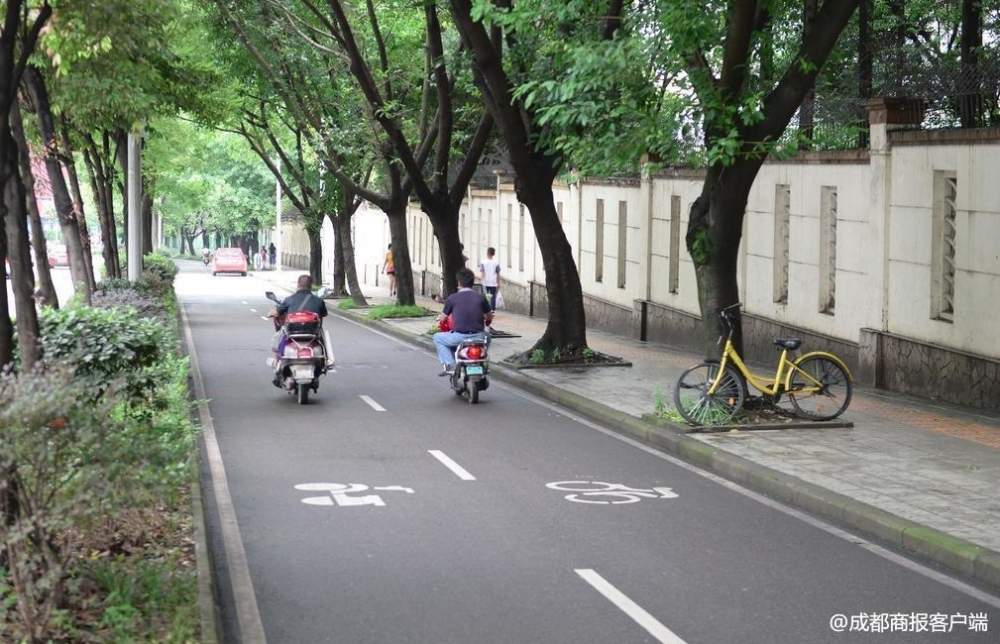��ʿ��ofo��＂ײ��＂����ժ��������� ������δ�ҵ�