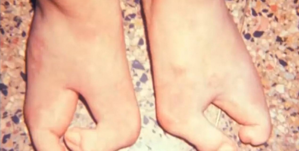 ������һ����Ϻ���䣬����ֻ��������ֺ����˵�����˵ĺ����