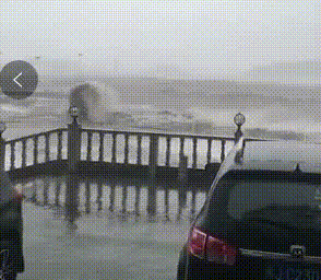 �������ǡ��������ˣ��Ų��ţ��㽭�����ɾ���û���µģ�