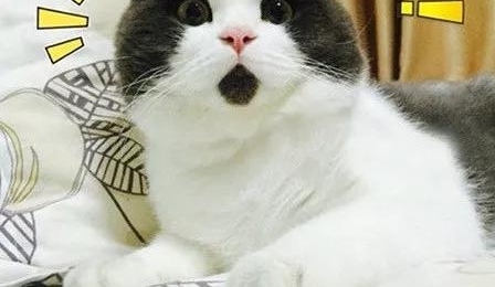 �ټ��ˡ����������ߡ������ݵ������������߽��ӳ���