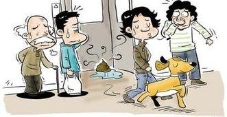 �������͹�ҧ�˶�ͯҥ���¼��󣬰�����ʿ����ͨ����ì�ܼ�����