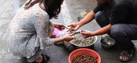 ũ��С��ץ֪�˺һ������200�飡����ǰץ����
