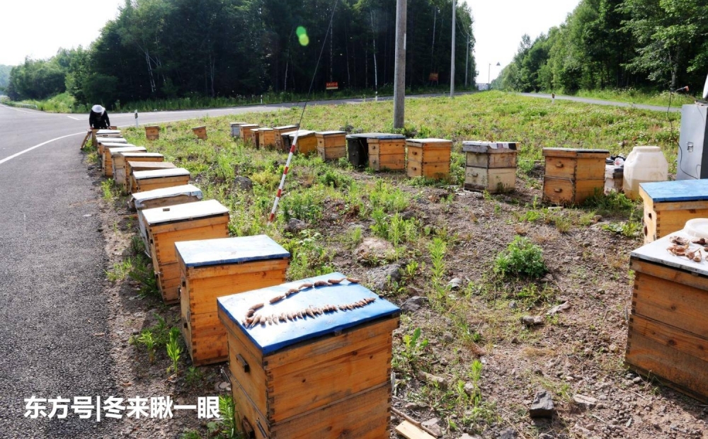 �������������͵�۷仹�Ʊ糦θ����