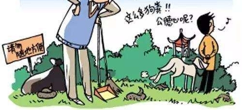 小区养犬扰民物业应及时制止,《湖南省物业管理条例》明确犬只管理规范