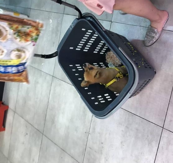 Ů�˿ͽ����ﹷ�Ž����й����� ����ɹͼ�������ع���