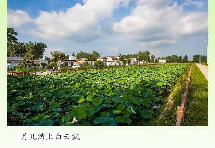 �°桶�¶����Ц������������Ϣ�ػ��Ӱ���һ������ƶ����