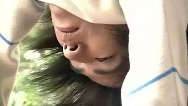 ƾʵ���кڵ��°����ǻ�԰���Ų����ĸ��㿴��