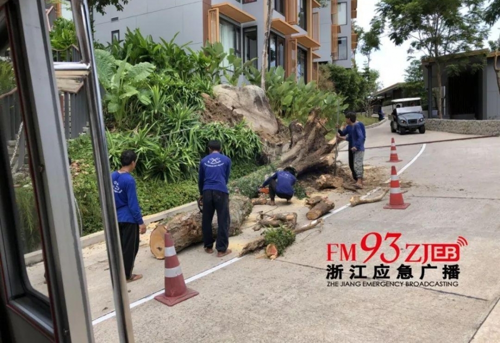 泰国船难,浙江游客22人失联!温籍游客讲述惊魂逃生时刻