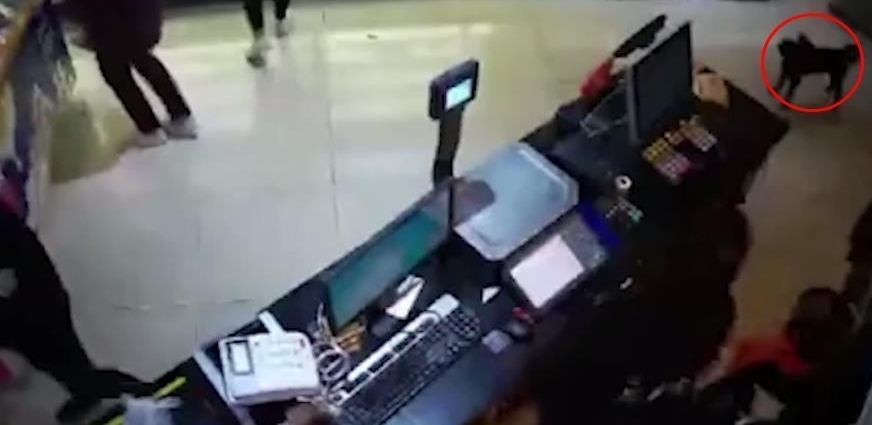 ���в���ЯȮ�룬�Ե�������������Ա