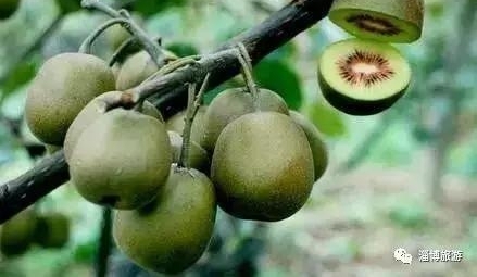 ��˭����Ҫ�������Ͳ��ˣ�������͡�̯���¶�������