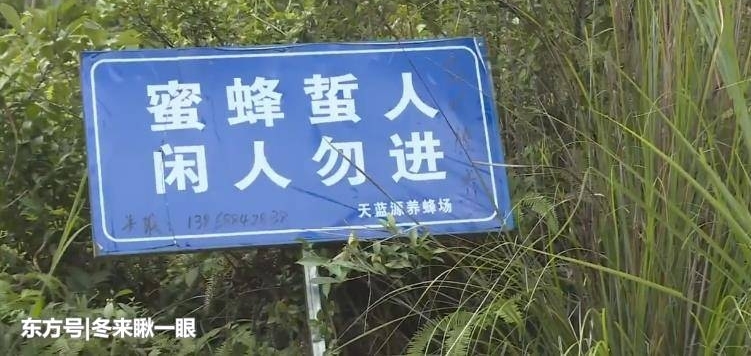 �������������͵�۷仹�Ʊ糦θ����