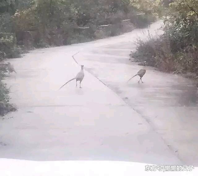 ���ǳԼ��ǵĻ�������С�������ֻ������ ������3�귣��3��