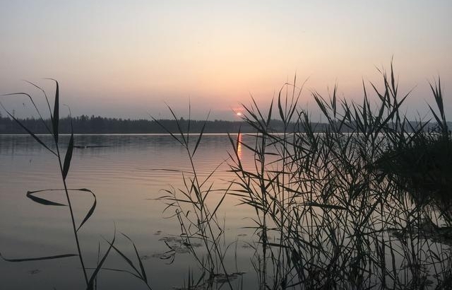 ��ʦ���㼼�ɡ�����������������Ư���Ƿ��ѧ���кμ���������