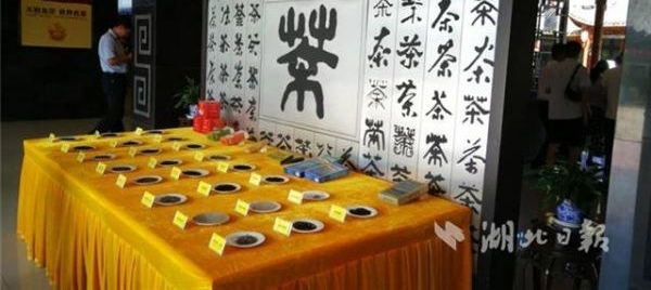 ���衰��ĸ����������Щ��ʾ��
