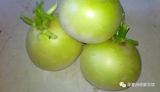ȫ���ز���������Т����