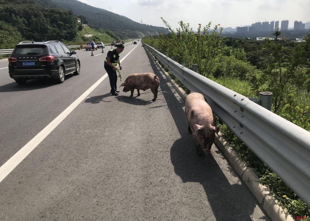 �����෭������ʦ�֡����ٹ�·��ͥ�Ų� ������ˡ�׽���۲���