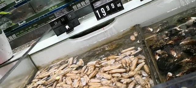 ����ĺ����Ƿ����֡���������ʵ�飬Ϊ�����أ�