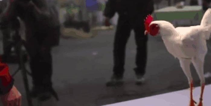 ��Ӱ���������? ����ģ��, ��ͷ��ʮ��, ���ƴ�Ƭ