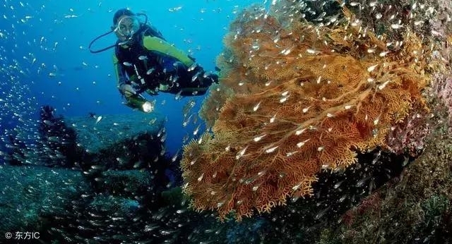 8个你不知道的冷知识!世界上最小的国家不是梵蒂冈