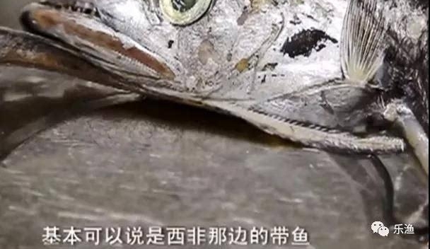 ��ô������Ե����ʴ��㶼�Ǽٵģ�