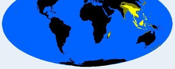 �й��Ϸ����뱱����Ϊʲô���಻ͬ������ʶ�ˣ�