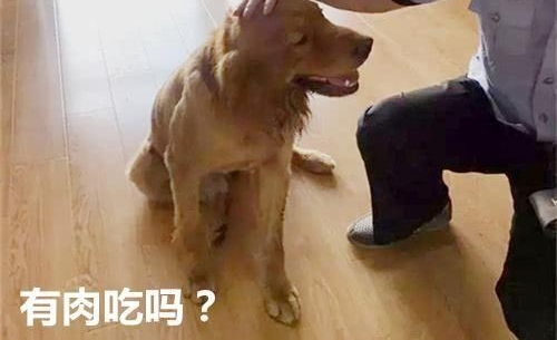 ��ë�߶����ҵ��ɳ��������Ų����ߣ���������Ц��