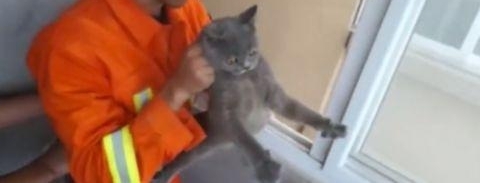 è�䱻��12¥������Ա��Ӫ�ȱ�˵����������ϸ�