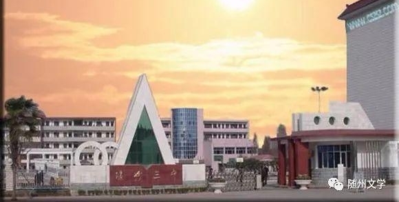 贺卫东:母校,学子心中永远的痛