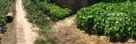 ��ͨһСŮ�������跢������ȣ��Ʊ��˴���һ��...��ʧ�٣�������˵���������