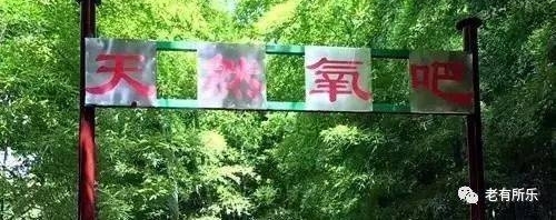 我们老了就要这样过!当今最新潮的养老方式,太赞了!
