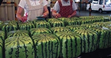���ӻ����ٿ�����һ���������ϳ����� �ؼ��п��� �����Լ�׬��