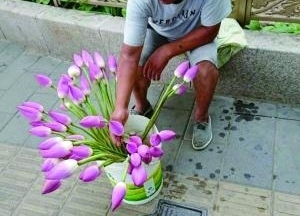 ��ˡ������ˡ� ���ִݺɻ�