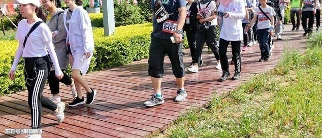 ���������ܲ������ε��������ң���ʵ���ݺ�������������