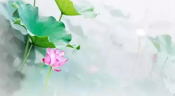 ���Ǵ����ɻ�ʢ�������ǽ��ϣ�ʤ�ƽ��ϣ�