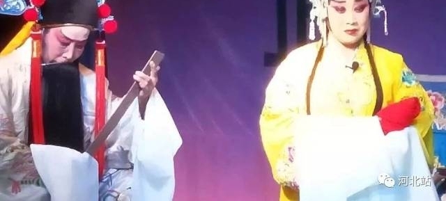河北王金庄山花落子剧团重出江湖